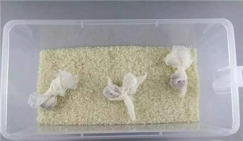 大米防生虫,万万不可只放袋子中,学会这4招,不