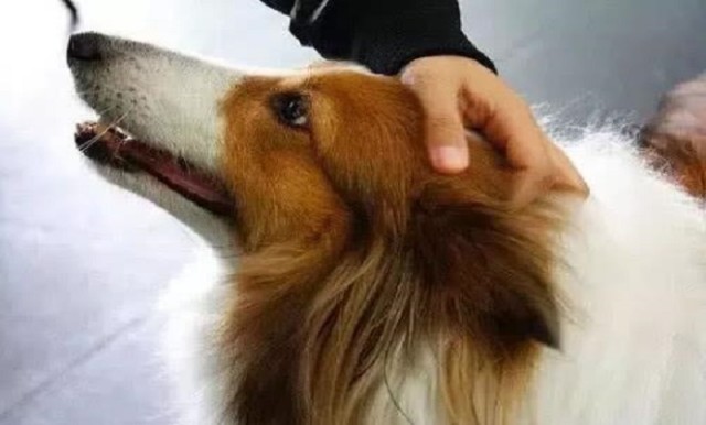 640