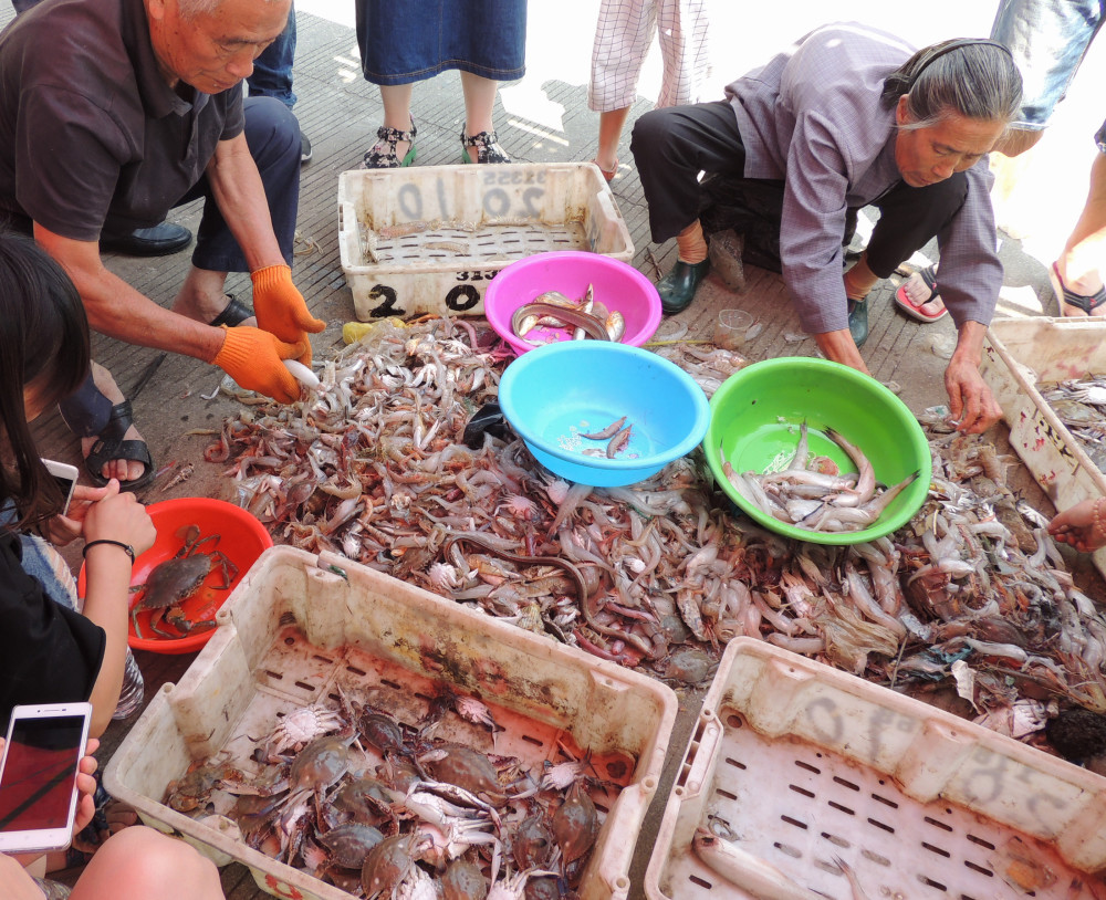 温岭出海,滚水里一捞就上桌,醮点酱油醮点醋,鲜得不要