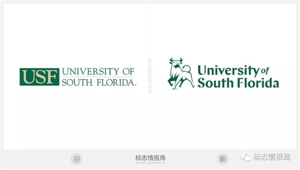 公牛,南佛罗里达大学