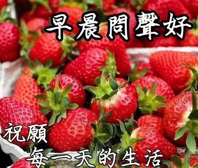 晚安朋友:晚上好动态图片带字鲜花,今天辛苦了