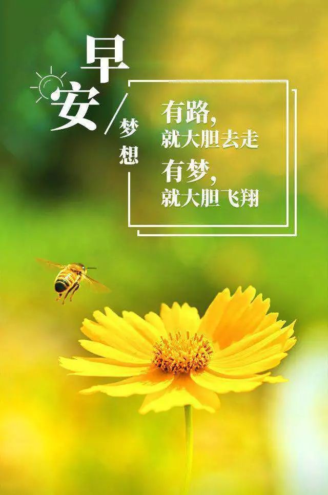 2020年第5期:早安朋友圈,经典美文正能量分享句子