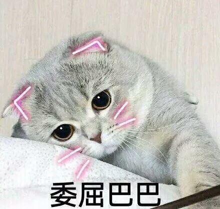 搞笑的表情包:委屈巴巴,我的天呐