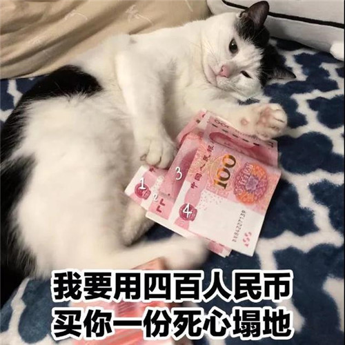 "无水印"搞笑萌宠表情包,猫主子和狗子一起睡觉,高冷的有点慌