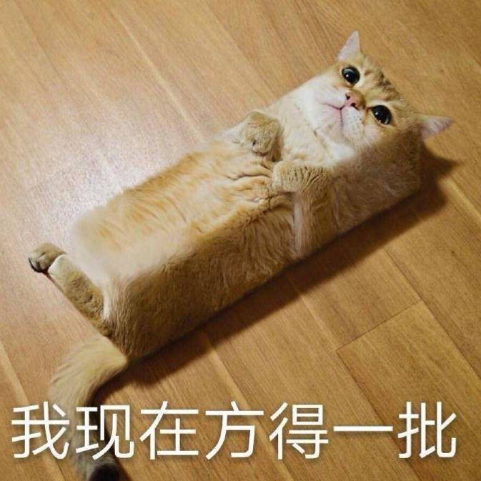 搞笑的表情包:生活真的是太苦