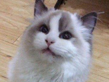 640