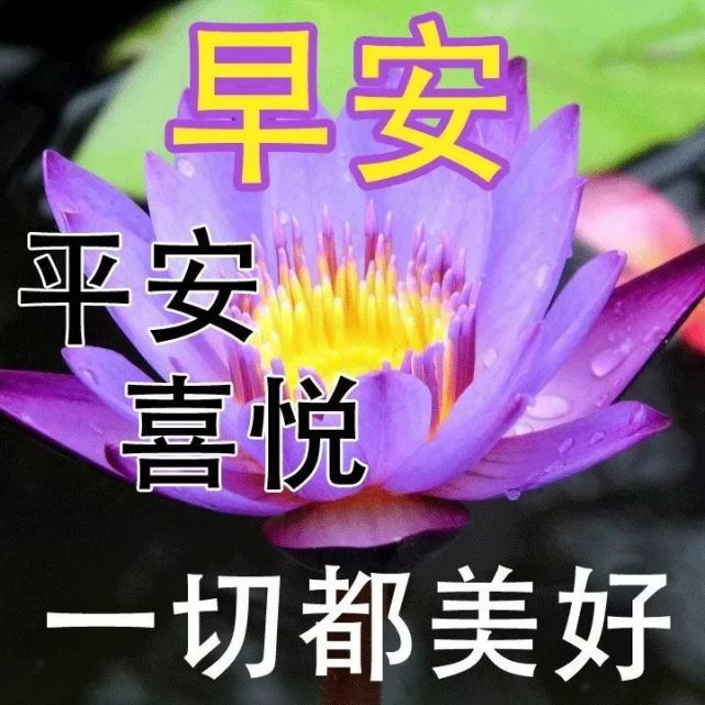 清晨漂亮表情图片问候祝福语美图,早安带字带表情的语