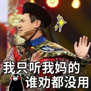 沈腾母亲节吹彩虹屁表情包|我随我妈,貌美如花