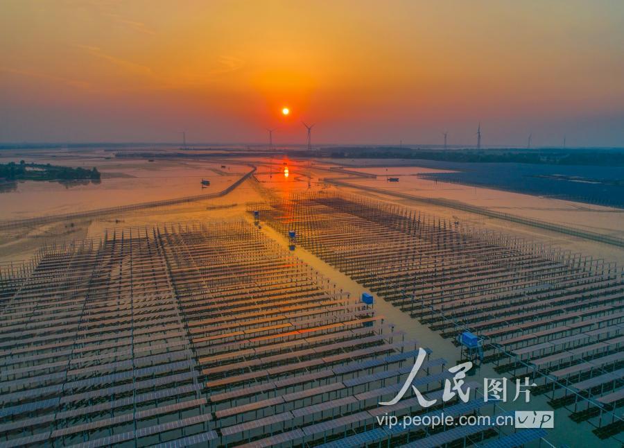 江苏泗洪:初夏天岗湖 景色如画卷