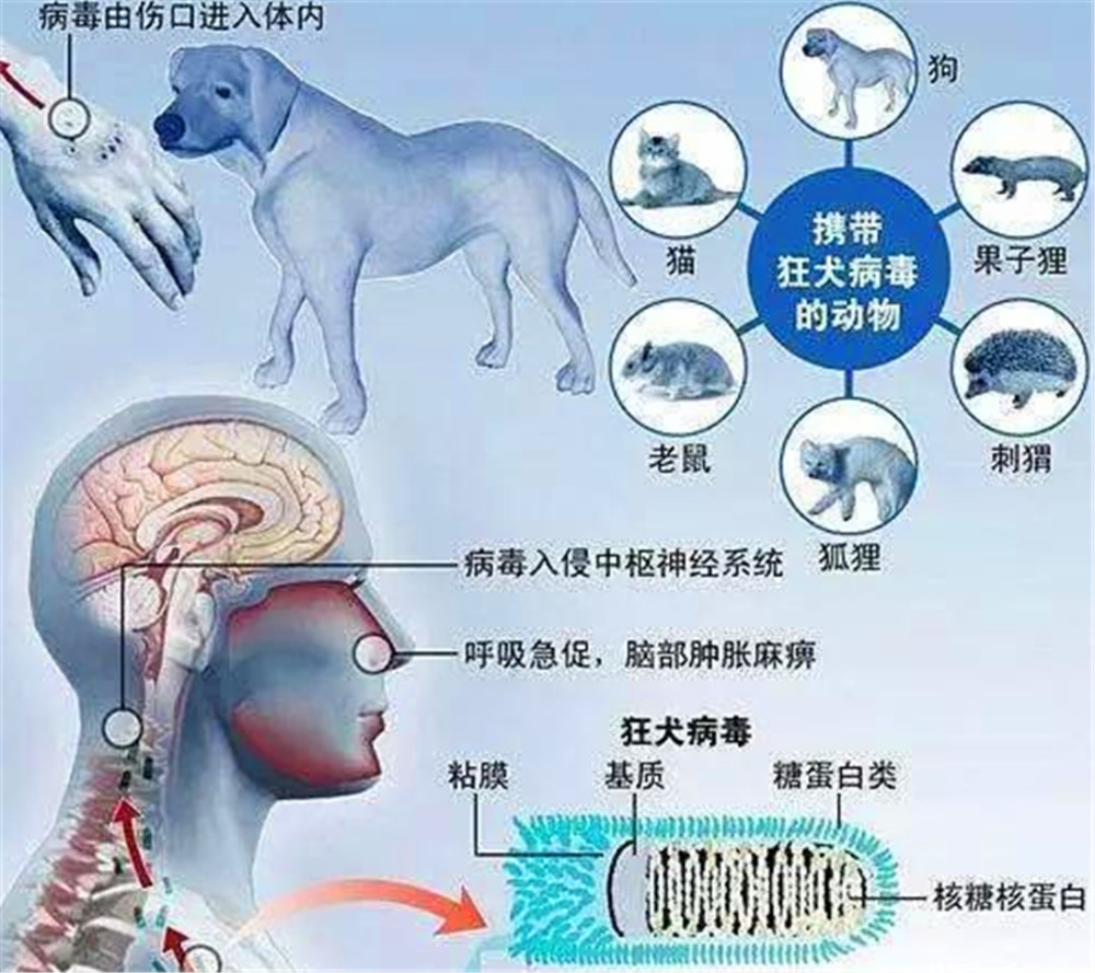 世界上还有比艾滋病病毒更可怕的病毒吗?
