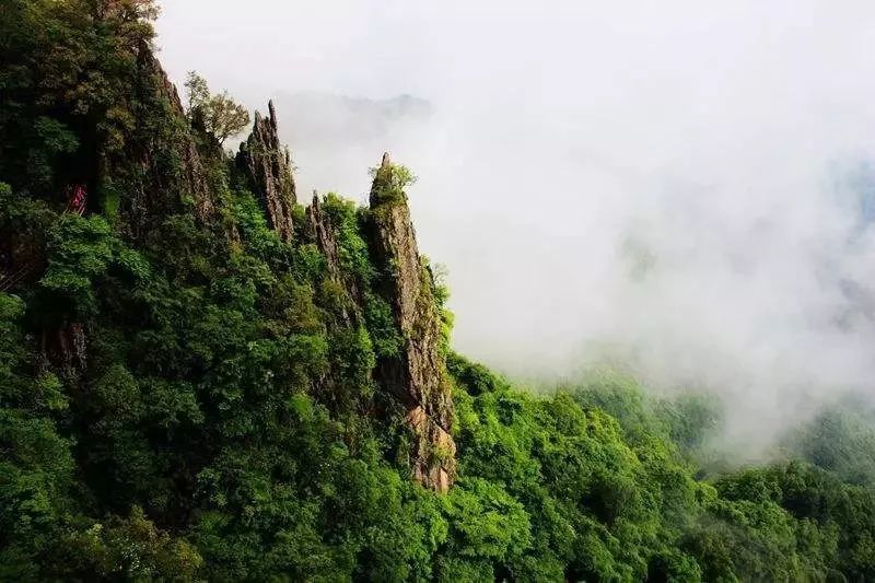 2019年余额不足!南宫山的四季风景,你看过了吗