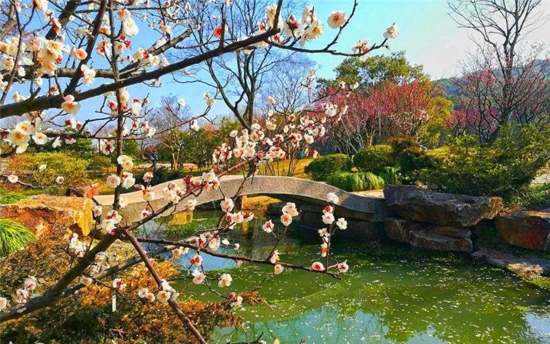 庭院创意景观节点,会漏你就赢了!
