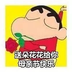 母亲节专用表情包:谢谢妈妈把我生这么好!