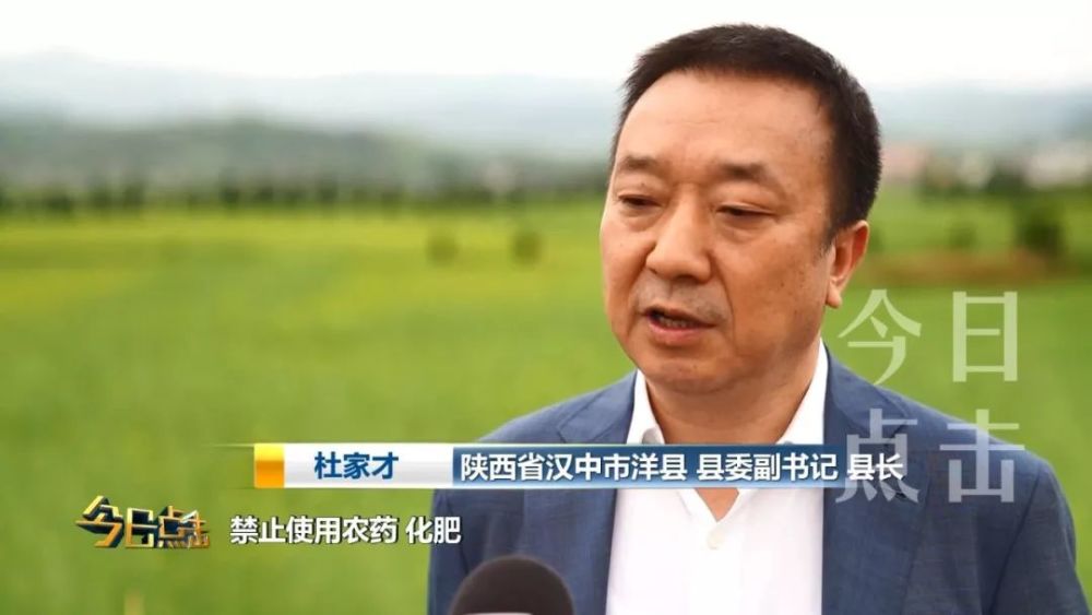 杜家才 陕西省汉中市洋县县委副书记 县长 从当时开始我们在350平方