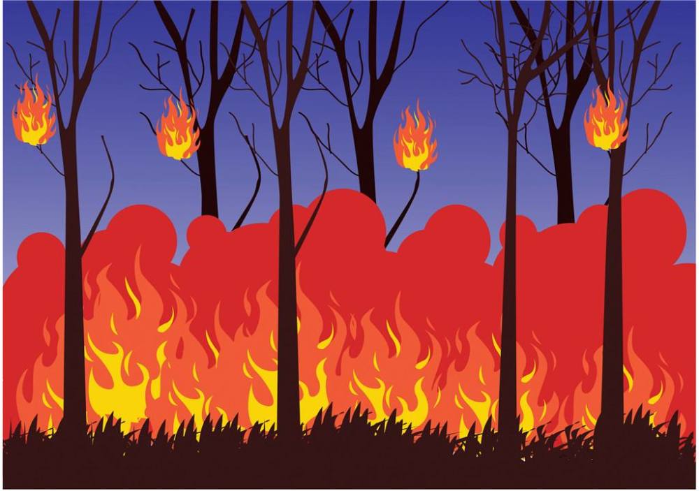 山西通报清明期间12起森林火灾处理结果