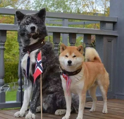 640