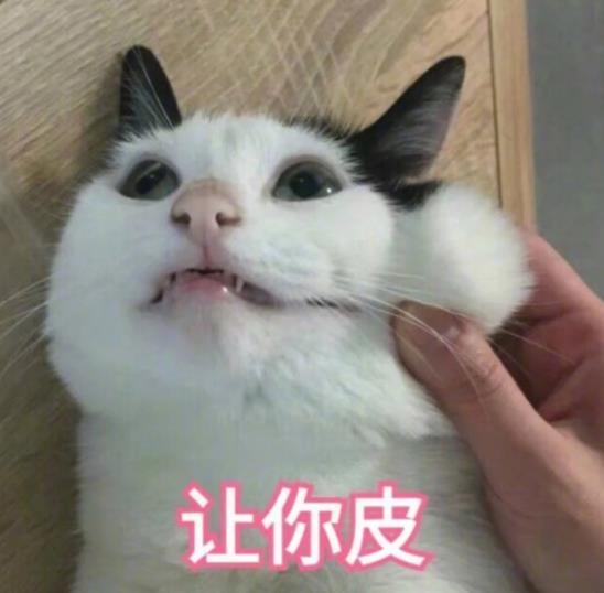 搞笑猫咪表情包:哼,你怎么还不来哄我