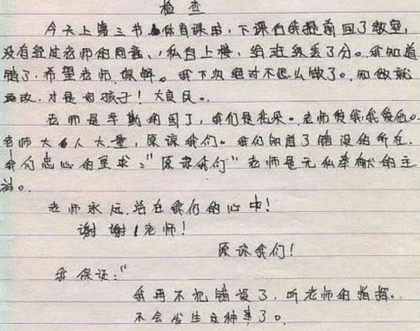 翻译人口为_人口普查(3)