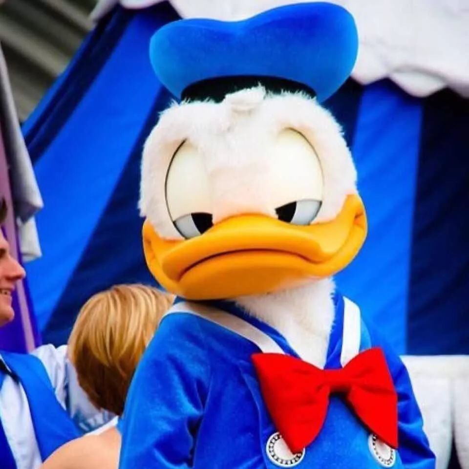 迪士尼最著名的卡通人物之一:唐老鸭(donald duck),也名为唐纳德