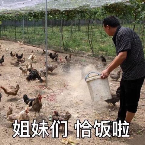 好姐妹表情包