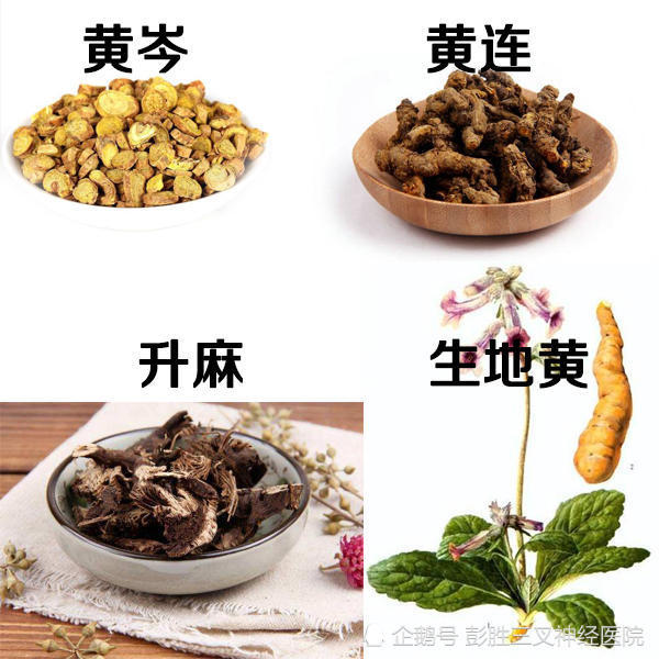 材料:雨前茶12克,升麻18克,生地黄15克,黄芩,黄连各3克.