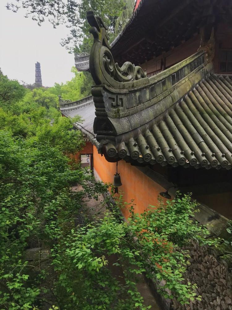 天台山,寺庙,国清寺,旅游