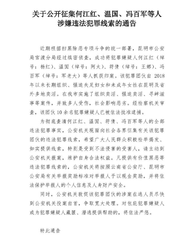 昆明市公安局官渡分局经过缜密侦查,成功将犯罪嫌疑人何江红(绰号:杨