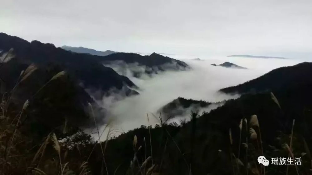 金秀县人口_国庆来宾旅游半价游,约起啦(2)