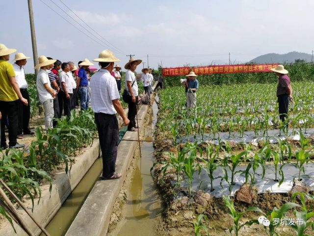 江门市新会区罗坑镇gdp_罗坑镇地图 罗坑镇卫星地图 罗坑镇高清航拍地图 罗坑镇高清卫星地图 罗坑镇2017年卫星地图 中国广(3)