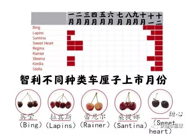 进口车厘子是如何进入中国的?