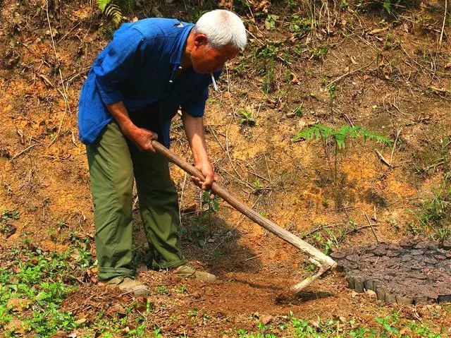 曾有位山下一位张姓民工抡起锄头挖土烧砖 随后挖到一个泥土掩盖的