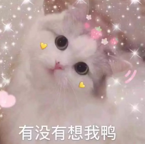 640