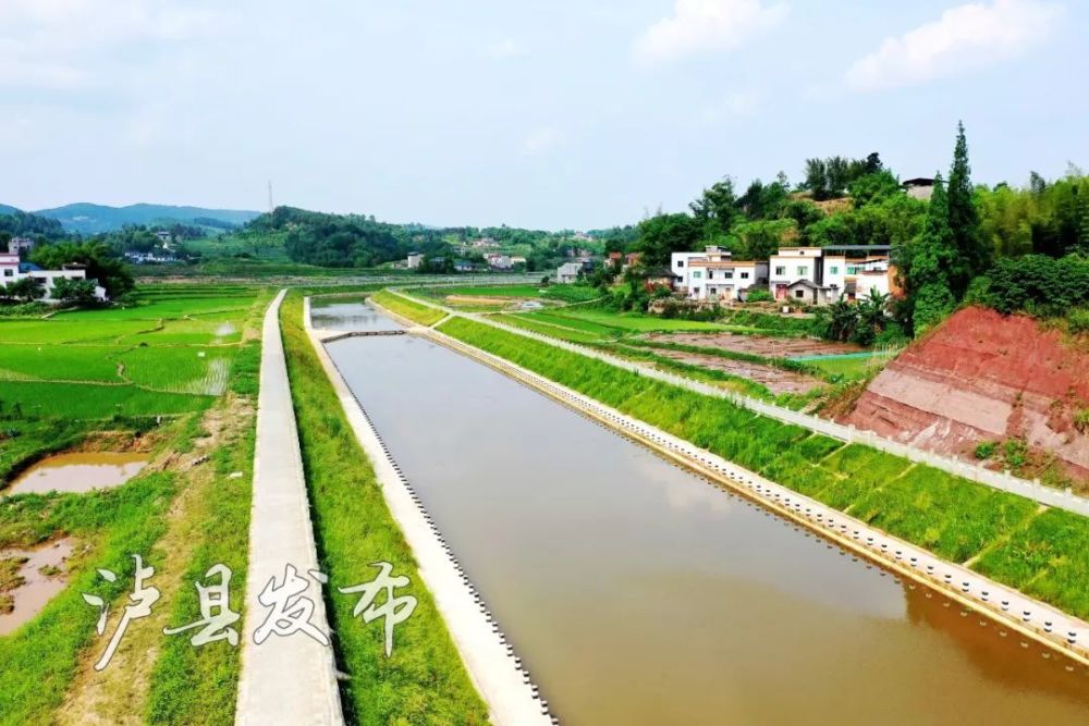 水清岸绿,河畅景美!泸县这些河道c位出线