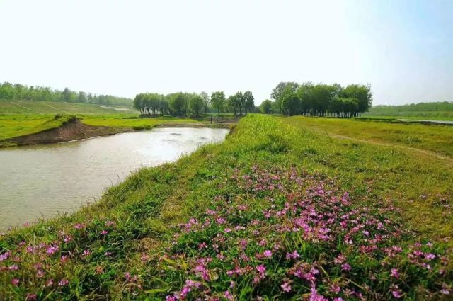 区莲花湖湿地公园 等一批    在建湿地公园(24个)    皖江水库等一批
