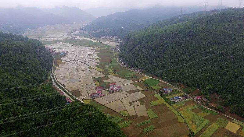 枝柘坪人口_枝柘坪图片