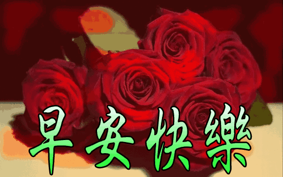 大家早上好动图表情美女2020,清晨祝福早上好问候语