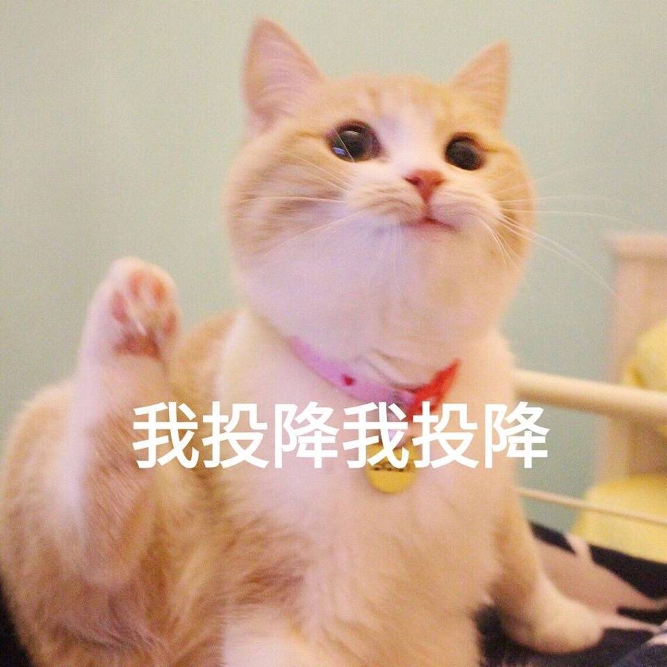 可爱猫咪搞笑表情包:你都不亲亲我吗!