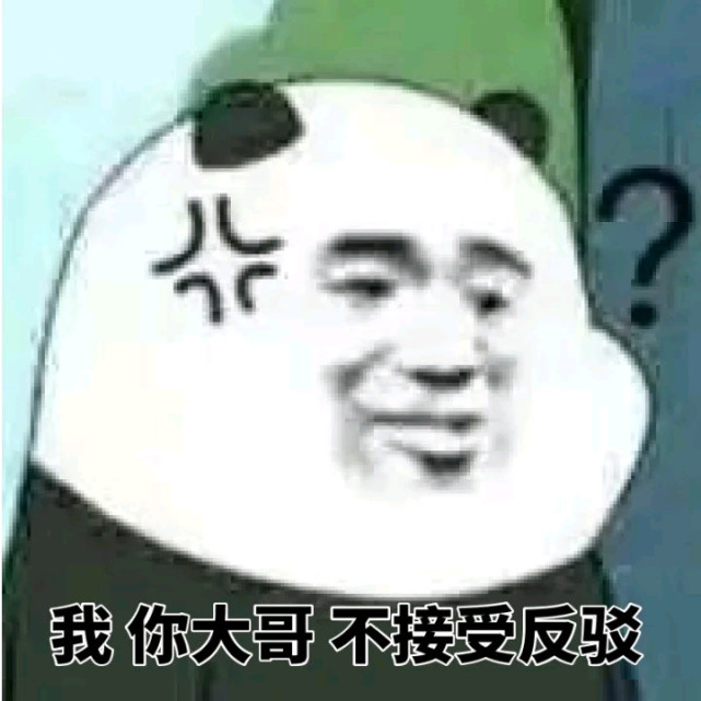 搞笑的表情包:我是你大哥,不接受反驳