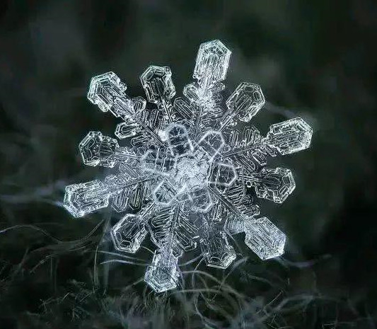 梦到花蛇，解读梦境中的神秘符号与心理暗示