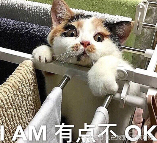 640