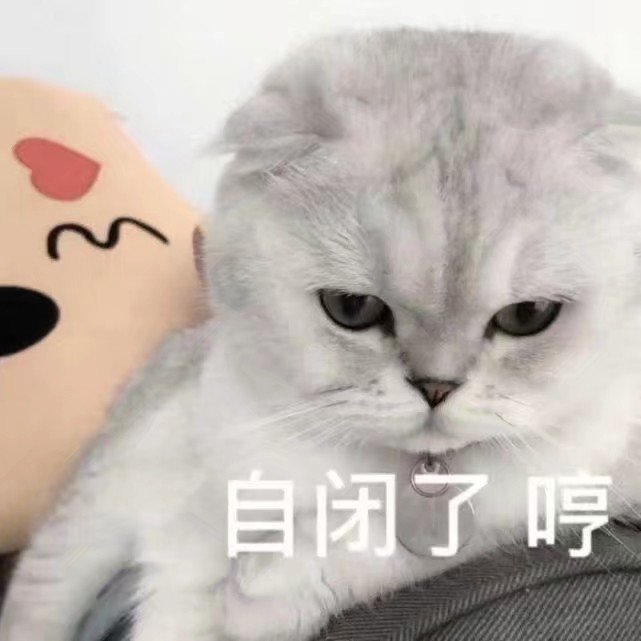 小奶猫:刚刚睡醒,什么事?橘猫扑来:老子不是肥橘,是噬元兽!