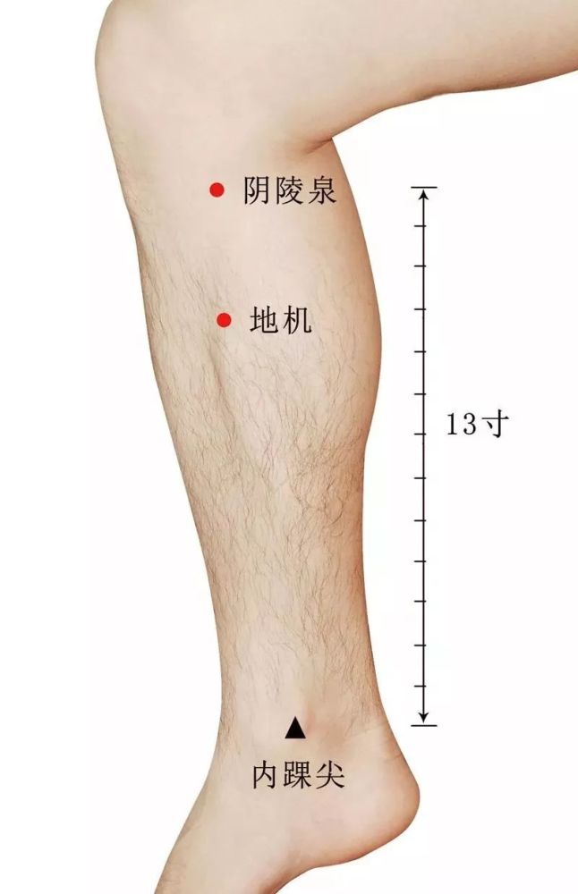 3.肩刺条口中渚颈 (1)肩部疼痛,针刺条口穴