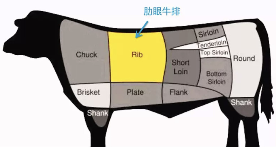 牛肉,安格斯牛