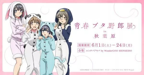 虐心预定 动画电影 青春猪头少年不会梦到怀梦美少女 Pv公布 看点快报