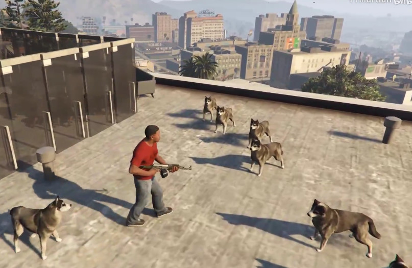 Gta5 世界的 哈士奇 会不会保护主人 猜的一点没错 看点快报