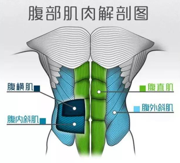 实用腹肌训练，9个简单动作，帮你抹平肚腩，紧致腰围练出马甲线