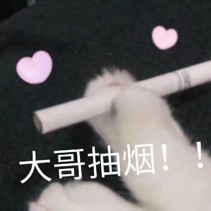 善用表情包,和心动女生聊翻天!