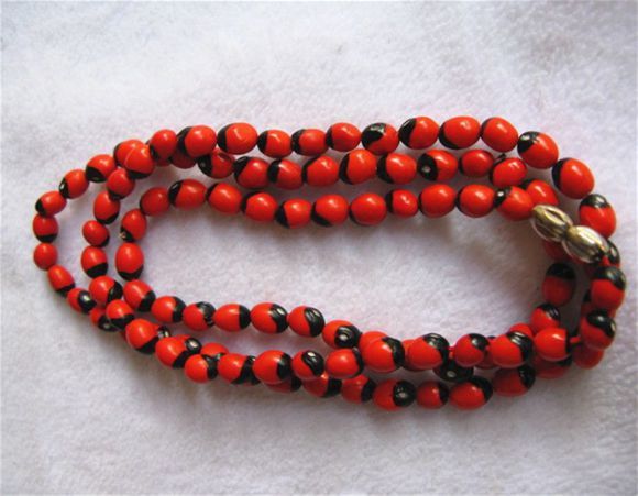 女子煮粥加两颗相思豆差点被毒死,这剧毒物很