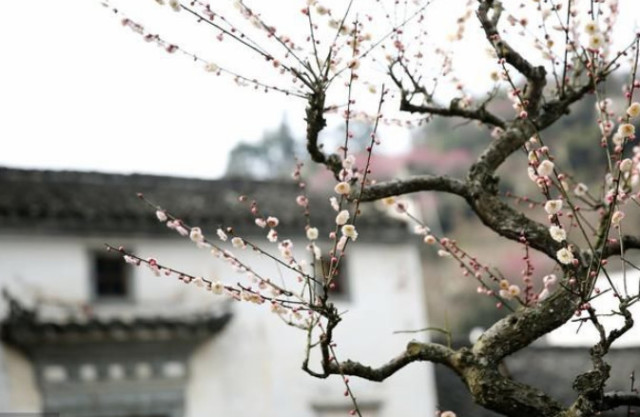 风雨是什么成语_这是什么成语看图