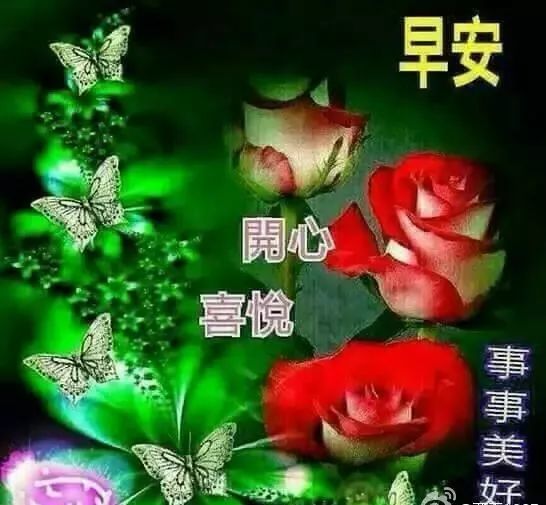 早上好治愈系暖心问候祝福动图,早晨好暖心祝福短信